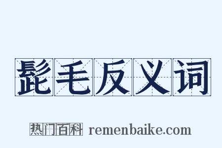 髭毛反义词是什么意思的图片